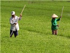 ２００９年から２０１１年までの新しい農村作りプログラムの試験的実施状況を総括する会議